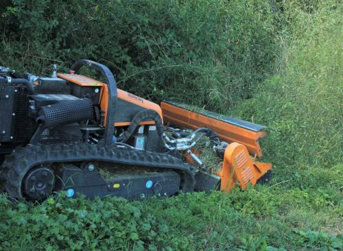 Broyage d'herbe en lisière de forêt