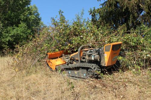 Broyage du tas de ronces de 2m de haut